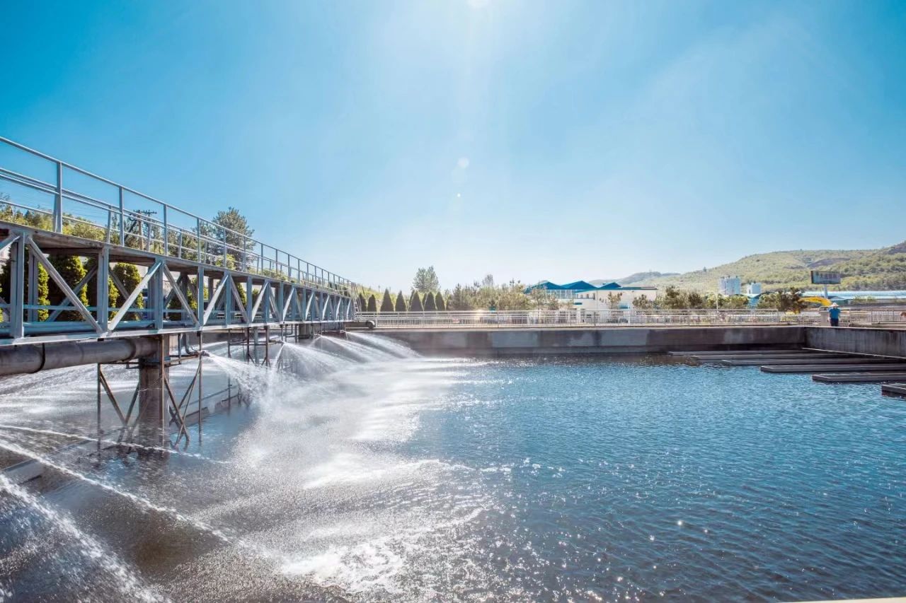 1719195741218965.jpg 828070ec9da77788cead2738a4c16bd0.jpg