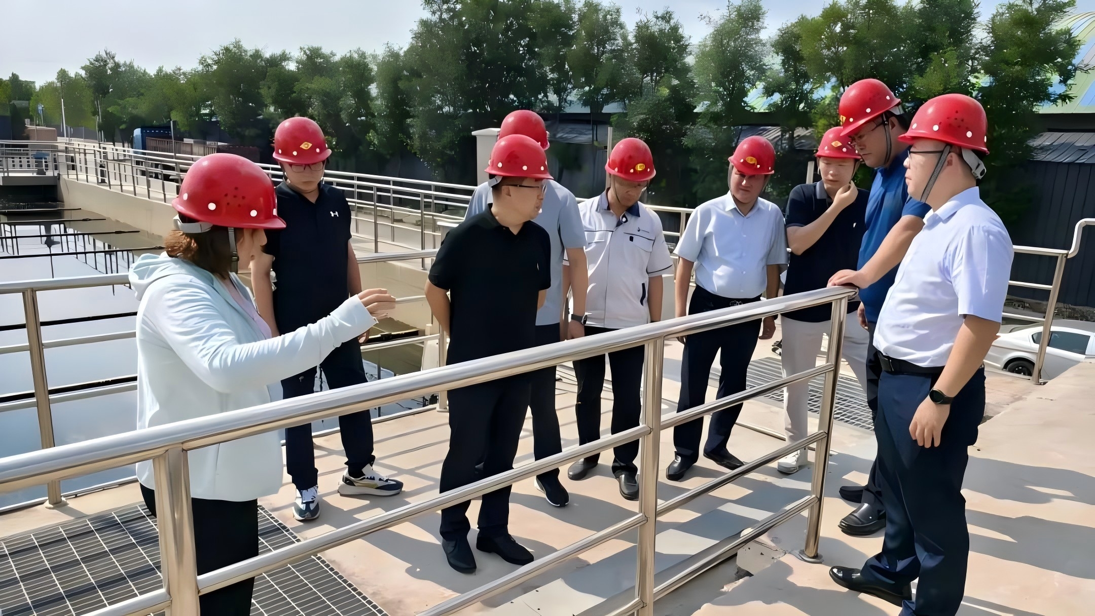 1724203127935924.jpg 550.jpg